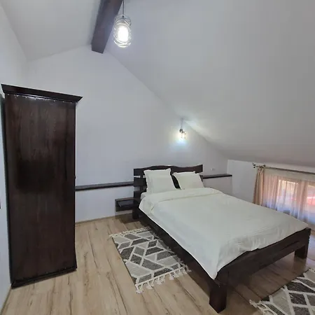 Casa Catinca Homestay Moldovita